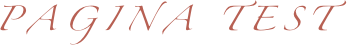 PAGINA TEST